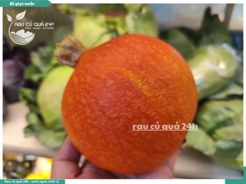 Bí giọt nước, bí Hokaido trái khoảng 750g