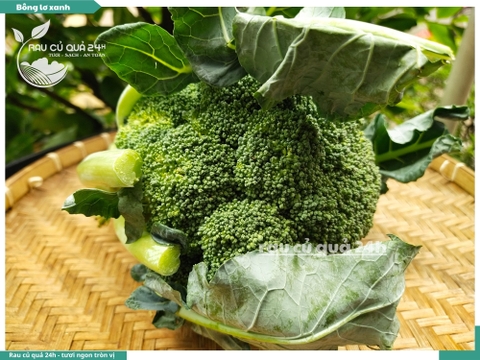 Bông lơ xanh 1 bông