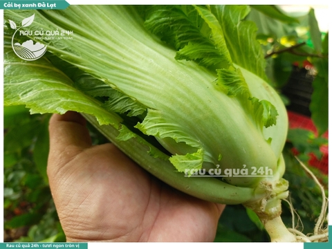 Rau Cải bẹ xanh Đà Lạt - 300g