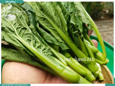 Rau Cải ngồng baby khoảng 300g