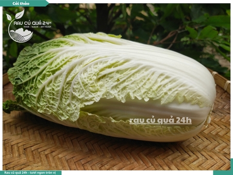 Cải Thảo làm Kim chi 1 cây khoảng 1,2 - 1,8kg