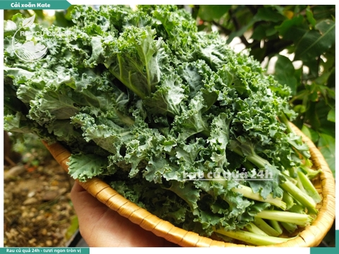 Rau Cải xoăn Kale khoảng 300g