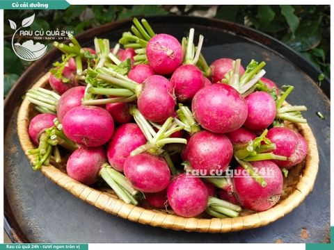 Củ cải đường