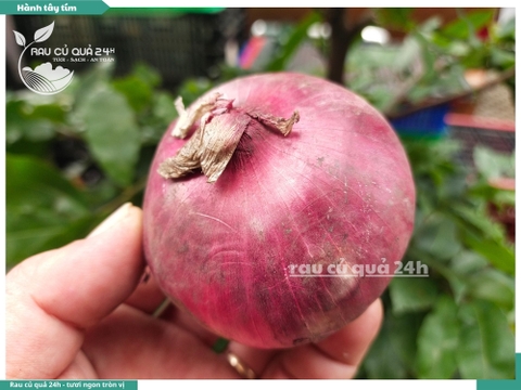 Củ Hành Tây tím 400g