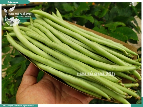 Quả Đậu cô ve - 400g