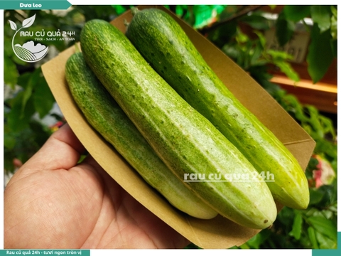 Quả Dưa leo khoảng - 400g