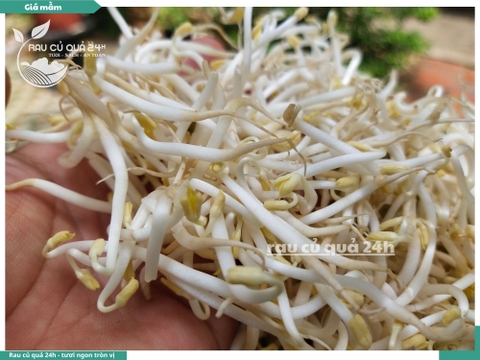 Giá mầm khoảng 200g