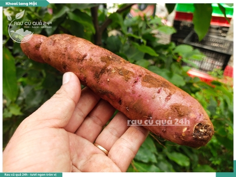Khoai lang mật Tà Nung Đà Lạt
