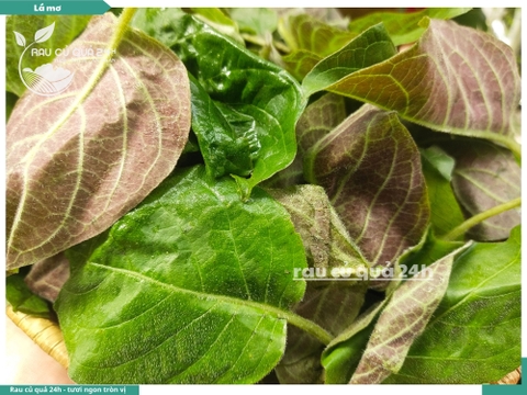 Lá mơ khoảng 100g