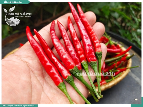 Ớt chỉ thiên đỏ - 45g