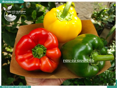 Ớt chuông ba màu khoảng 500 - 700gr