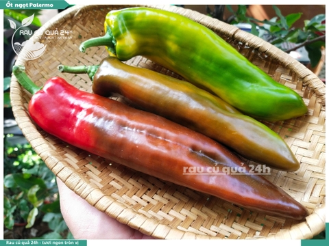 Ớt Pamerlo 400g
