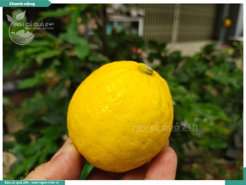 Quả Chanh vàng 160gg