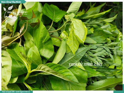 Rau rừng Tây Ninh khoảng 250g