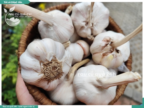 Củ Tỏi tép lớn khoảng 90g