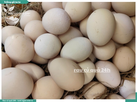Trứng gà ta lớn - sét 5
