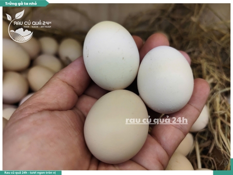 Trứng gà ta nhỏ - sét 5