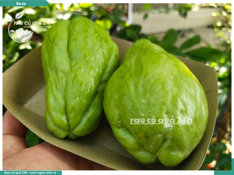 Quả Su su - 2 quả