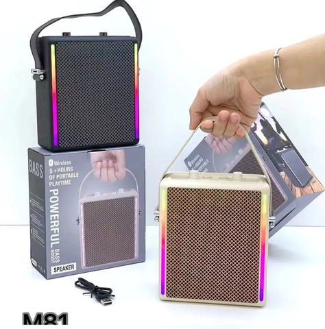 LOA KARAOKE BLUETOOTH M81 PRO GIÁ SỈ