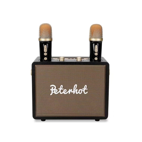 LOA KARAOKE BLUETOOTH PETERHOT A107W GIÁ SỈ