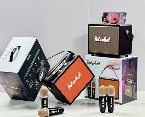 LOA KARAOKE BLUETOOTH PETERHOT A107W GIÁ SỈ