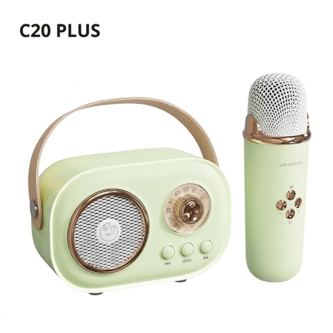 LOA KARAOKE BLUETOOTH C20 PLUS