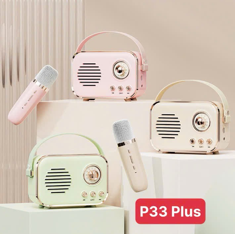 LOA KARAOKE BLUETOOTH P33 PLUS