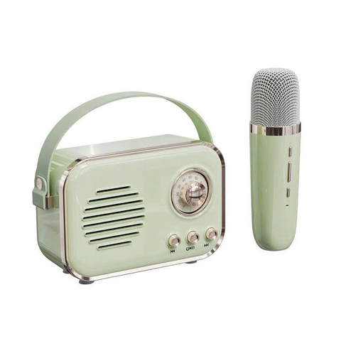 LOA KARAOKE BLUETOOTH P33 PLUS