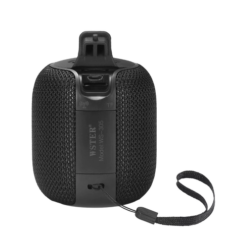 LOA BLUETOOTH MINI WSTER WS-305