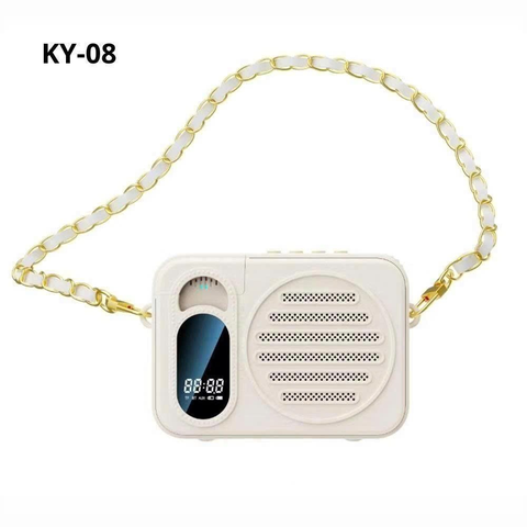 LOA TRỢ GIẢNG BLUETOOTH KY-08 (1 MIC)