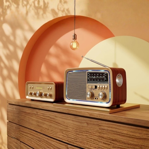 LOA BLUETOOTH KIÊM ĐÀI RADIO FM YS-3188BT