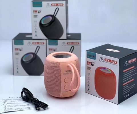LOA BLUETOOTH MINI WS-309 GIÁ SỈ