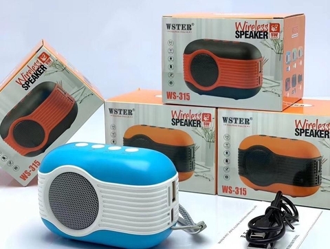 WSTER WS-315 Mini haut-parleur Bluetooth prix de gros