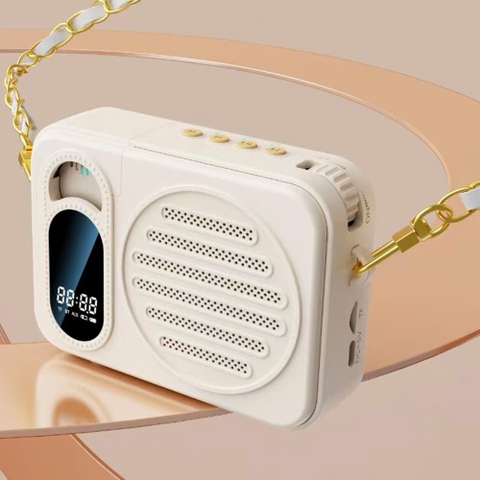 LOA TRỢ GIẢNG BLUETOOTH KY-08 (1 MIC)