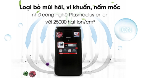 62m² MÁY ION VÀ LỌC KHÍ FP-J80EV-H