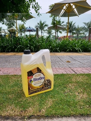 Dung dịch làm mát động cơ BlueOne Coolant G60