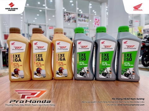 🌟 TÂN TRANG XẾ YÊU ー VI VU ĐÓN TẾT 🌟 An tâm cho chuyến du xuân vì đã có Pro Honda người bạn bảo an cho bạn🎁