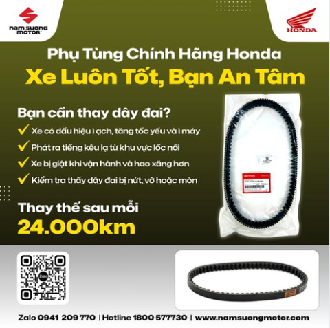 CHĂM SÓC DÂY ĐAI - BỘ PHẬN QUAN TRỌNG KHÔNG ĐƯỢC BỎ QUA!