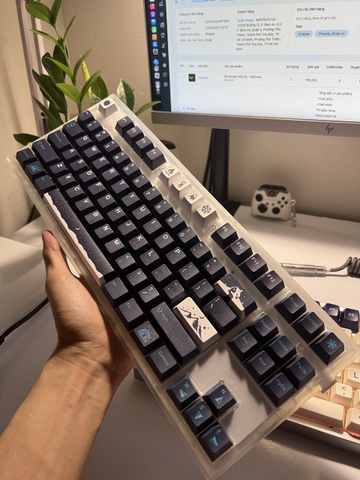 Combo custom MK870 Snowy Night