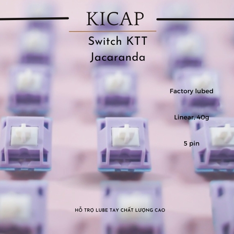 Switch KTT Jacaranda - Linear