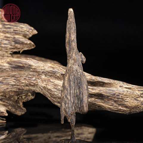 MẶT TRẦM KIẾN CHÌM CAO CẤP