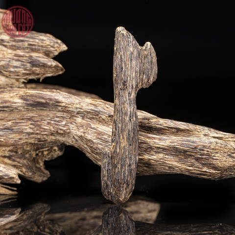 mặt trầm kiến chìm cao cấp