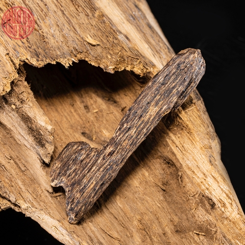 mặt trầm kiến chìm cao cấp