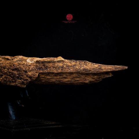 Trầm cảnh Kiến Chìm Nước thiên nhiên cao cấp