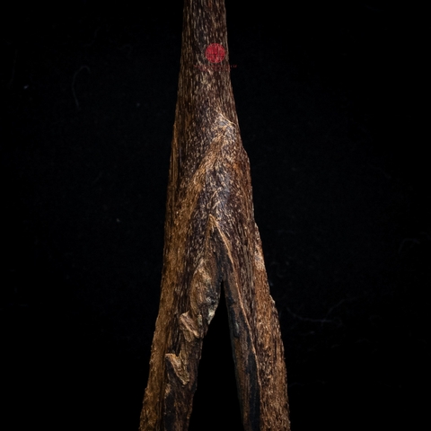 Trầm cảnh Kiến Chìm Nước thiên nhiên cao cấp