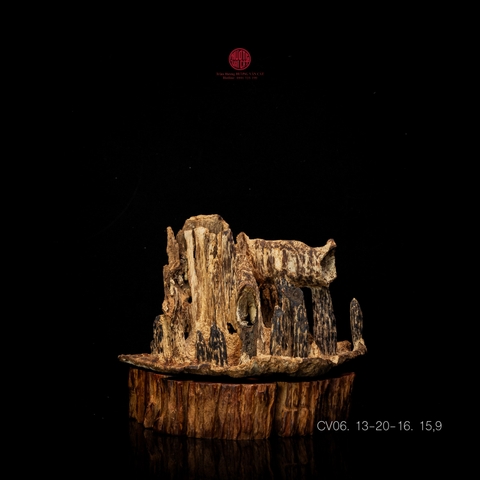 Trầm cảnh Kiến già dầu thiên nhiên cao cấp