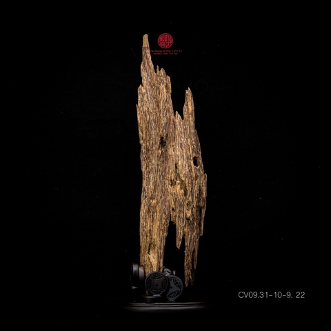 Trầm cảnh Kiến già dầu thiên nhiên cao cấp