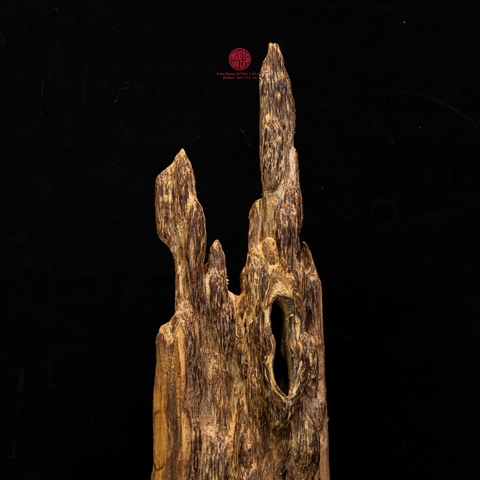 Trầm cảnh Kiến già dầu thiên nhiên cao cấp