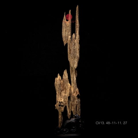 Trầm cảnh Kiến già dầu thiên nhiên cao cấp