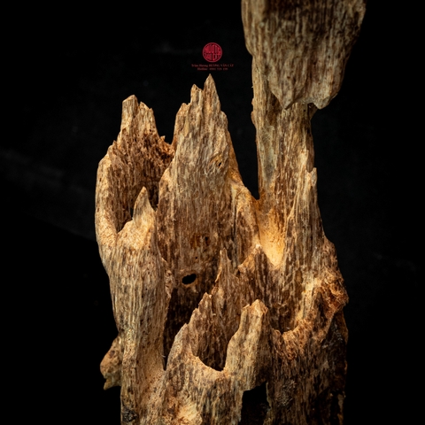 Trầm cảnh Kiến già dầu thiên nhiên cao cấp